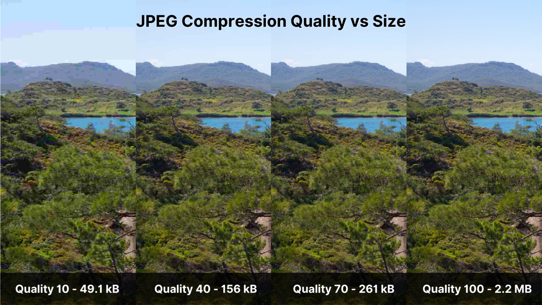 Progressive JPEG image showing successive passes each loading more detail.